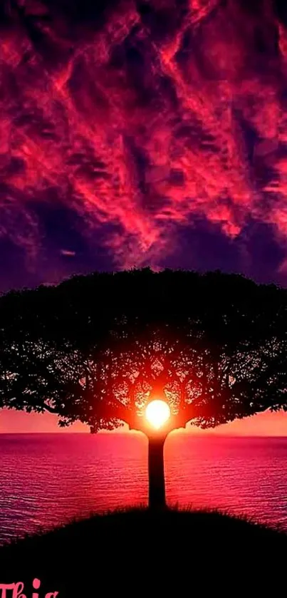 Silhouette tree against a vibrant pink and purple sunset sky over water.