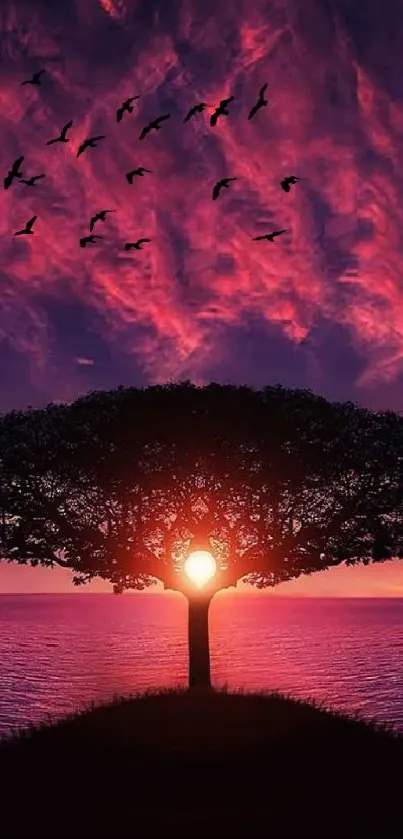 Silhouetted tree against a vibrant sunset over the ocean.