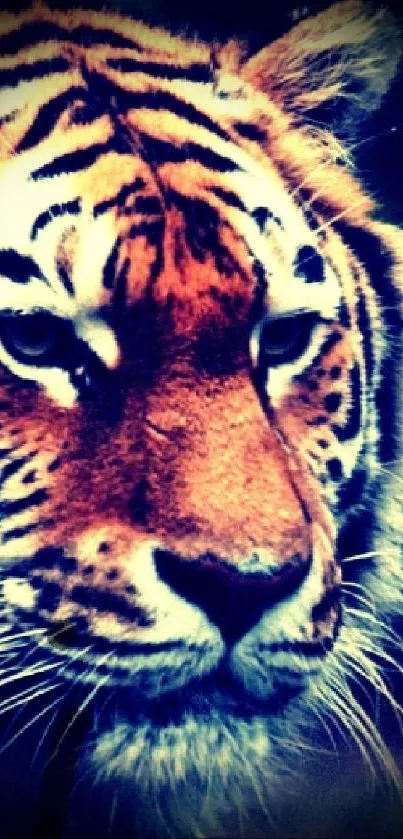 Majestic tiger in colorful abstract background for mobile.