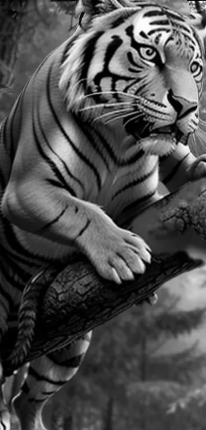 Majestic tiger climbing a tree in grayscale wallpaper.