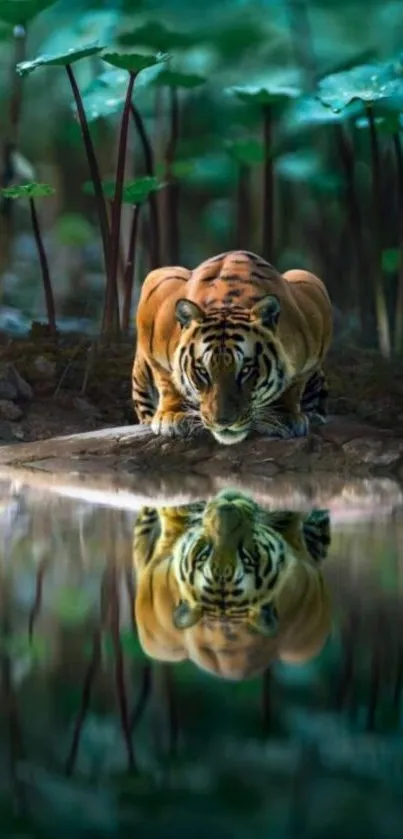 Tiger reflecting in a tranquil forest pond at twilight.