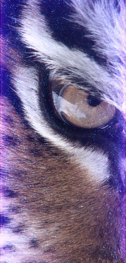 Close-up of a tiger's eye showcasing its intricate patterns and vivid colors.