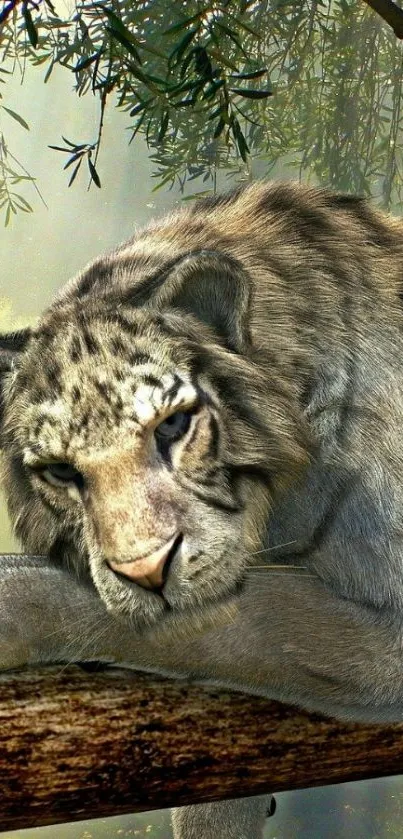 Tiger resting on tree branch in a serene forest setting.