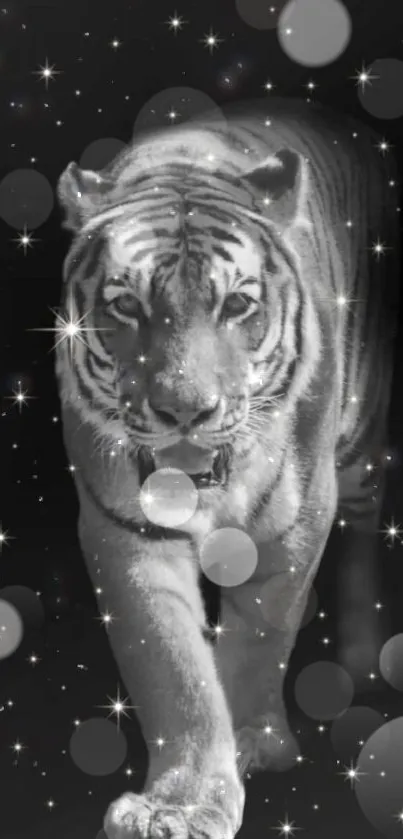 Black and white tiger under a starry sky, cosmic mobile wallpaper.