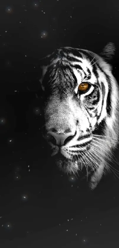 Majestic tiger emerging from darkness wallpaper.