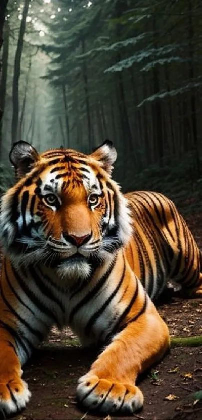 Majestic tiger resting on a forest path.