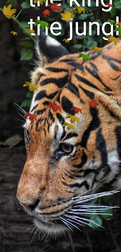 Majestic tiger walking in lush jungle setting.