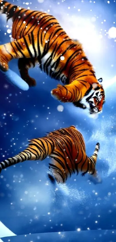 Vivid tigers leap through a snow-covered landscape on a blue background.