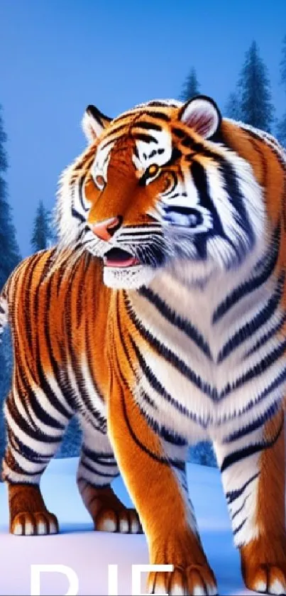 Tiger standing in a snowy forest with tall trees.