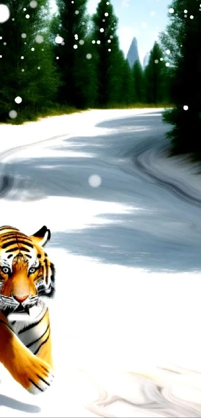 Tiger walking through snowy forest landscape wallpaper.