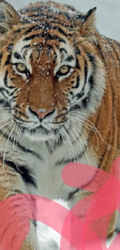 Tiger walking in snowy landscape with artistic touch.