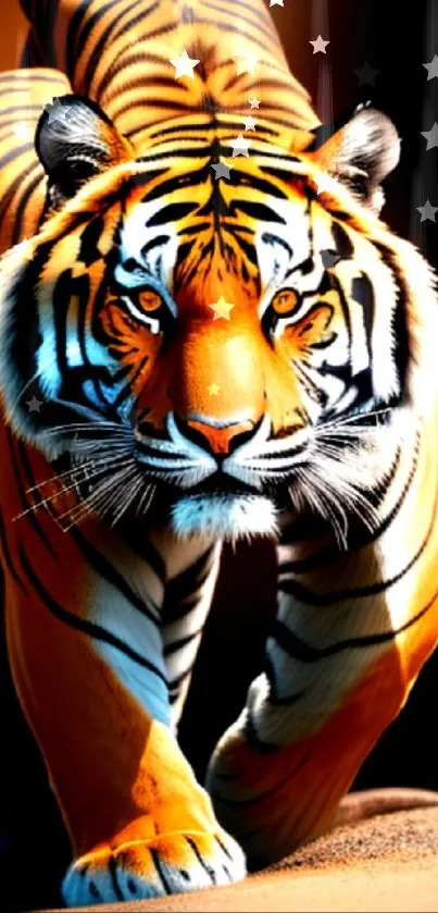 Fierce tiger walking with vivid orange and black stripes in natural setting.