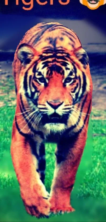 A majestic tiger strides confidently with a vibrant green background on mobile wallpaper.