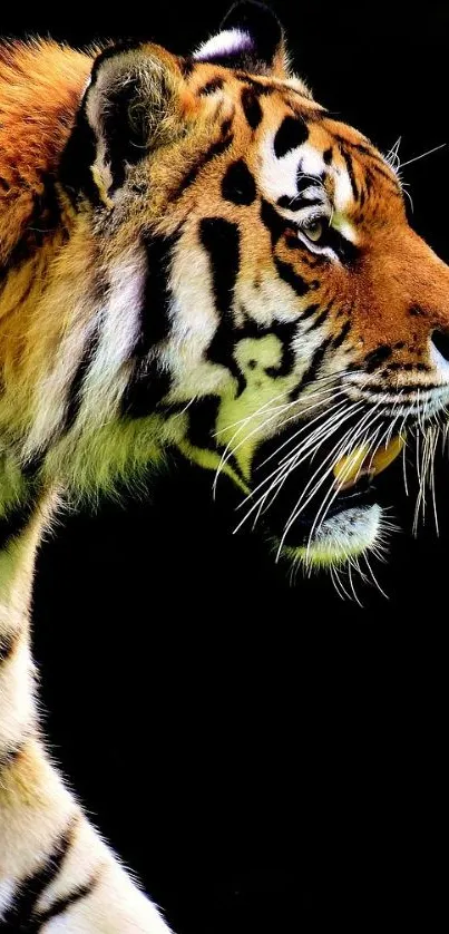 Stunning tiger roaring with vivid colors in nature-themed mobile wallpaper.