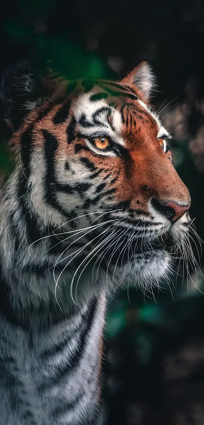 Majestic tiger with striking stripes in a lush green jungle setting.