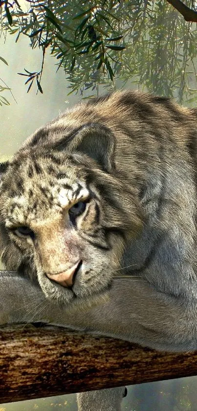 Majestic tiger resting on a tree branch amidst lush greenery.