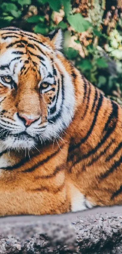 Majestic tiger resting in nature, vibrant and detailed.