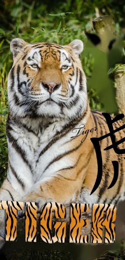 Majestic tiger surrounded by lush greenery with artistic text overlay.