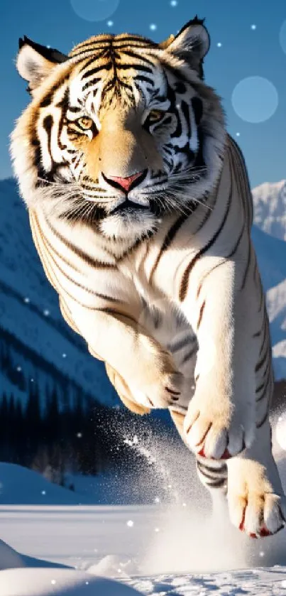 Tiger leaping through snowy mountains, showcasing nature's wild beauty.