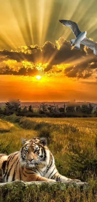 Tiger lounging with sunset and bird.