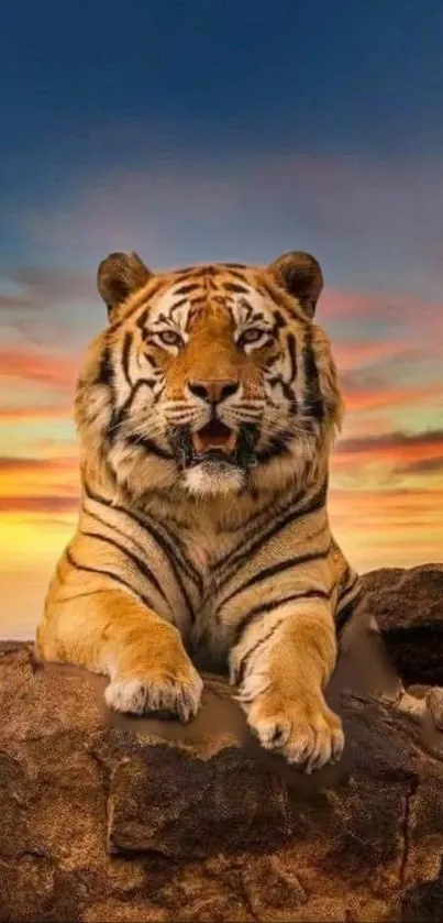 Majestic tiger resting on a rock against a vibrant sunset sky.