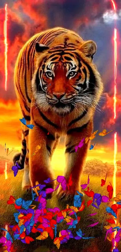 Majestic tiger walking under a fiery sunset sky in a vibrant mobile wallpaper.