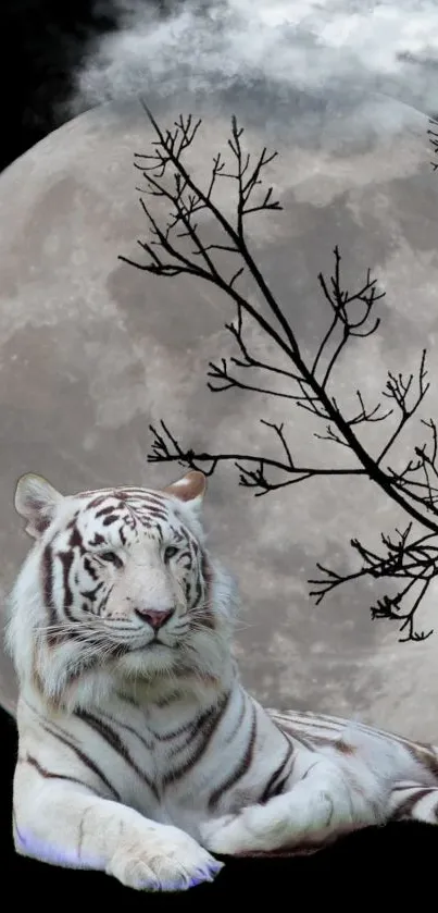 Majestic white tiger under full moon with branches.