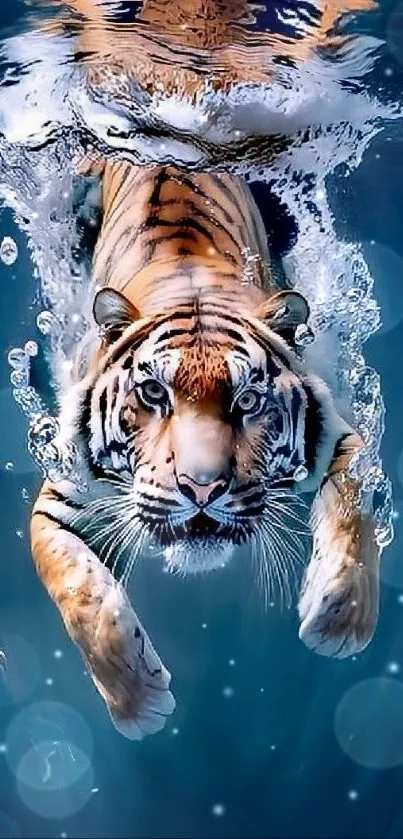 Majestic tiger swimming underwater in vibrant blue water.