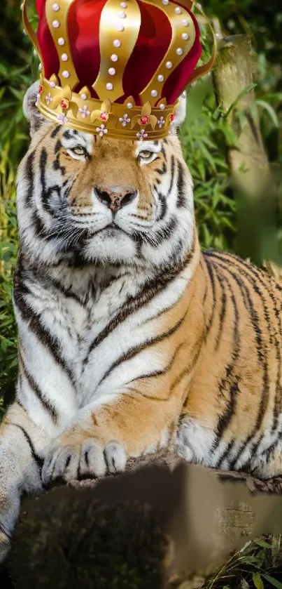 Tiger with a royal crown in lush forest backdrop.