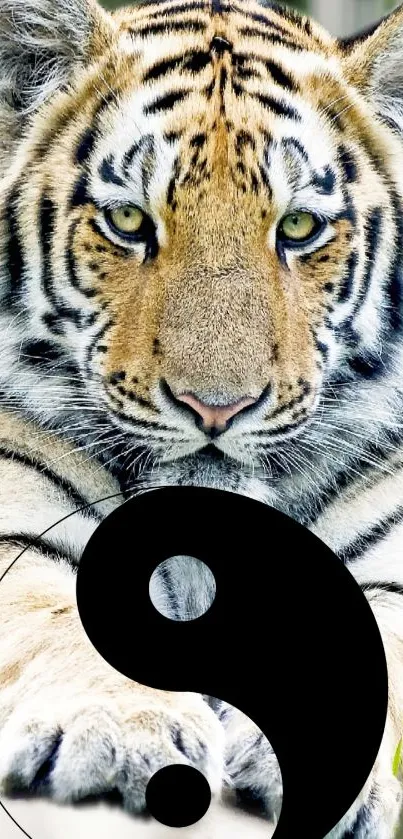 Tiger with yin yang symbol wallpaper for mobile aesthetic.