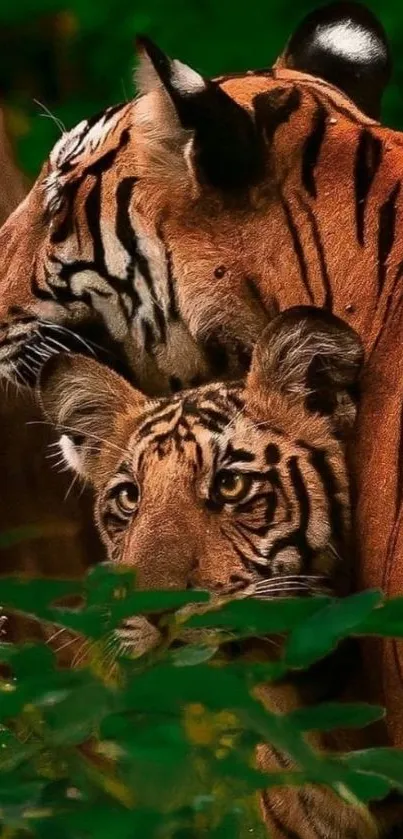 Majestic tigers in lush green jungle scene.