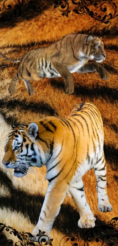 Majestic tigers on a fur background, creating an eye-catching wildlife theme.