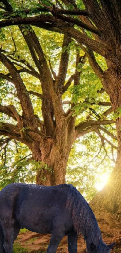 A peaceful horse grazing under a large, sunlit tree.