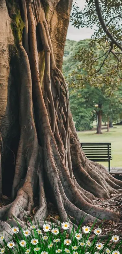 Majestic tree with flowers in park setting, serene nature view.