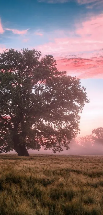 Majestic tree under a pink sunset sky in a misty field.