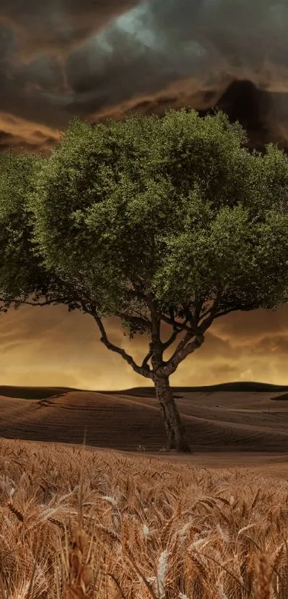 Towering tree in golden field with dramatic sky.