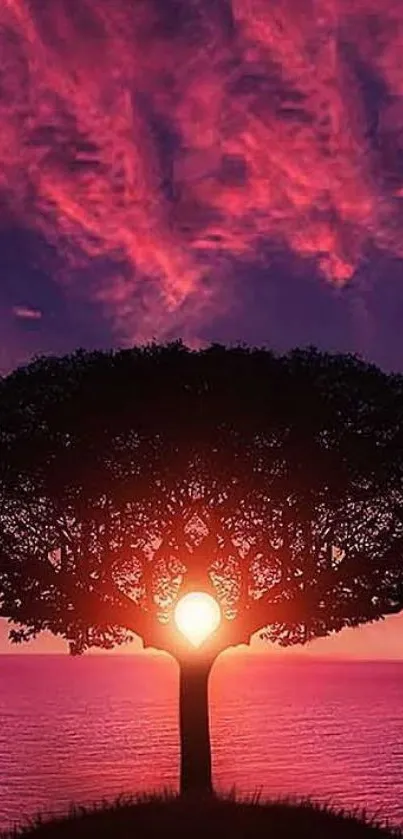 Tree silhouetted by a vibrant pink sunset over the ocean.