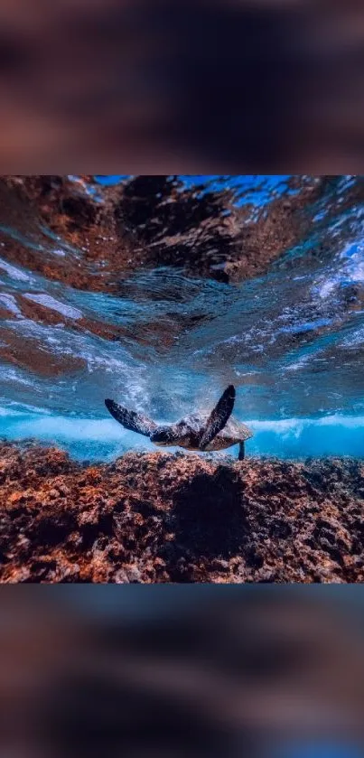 Diving turtle in vibrant underwater ocean scene, showcasing colorful coral reef.