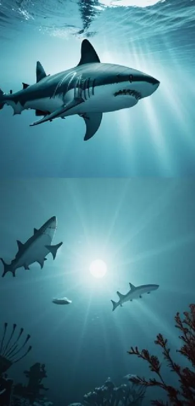 A dramatic underwater scene with sharks swimming in the deep blue ocean.