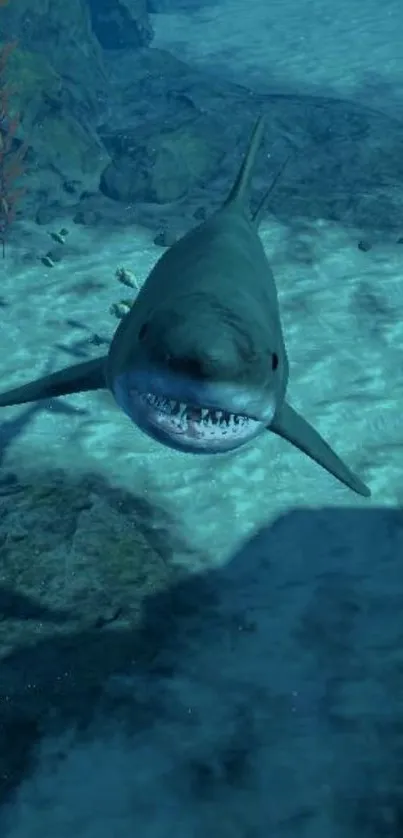 Shark swimming underwater in a serene ocean scene.