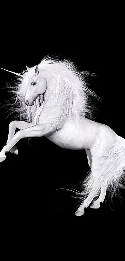 Majestic white unicorn on black background wallpaper.