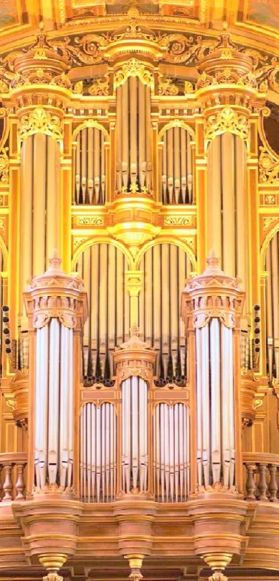 Majestic vintage organ with golden design and intricate pipes.