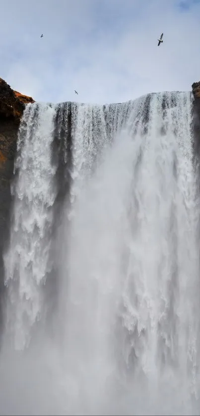 Waterfall cascading majestically with birds above and person in orange gear at the bottom.