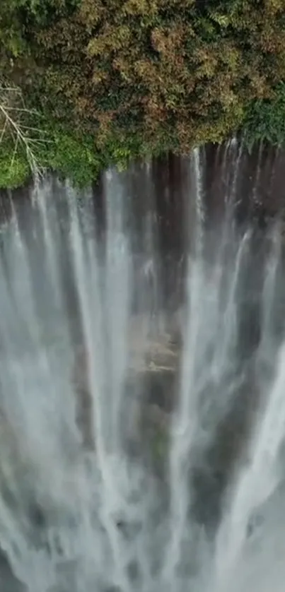 Aerial view of a majestic waterfall surrounded by lush green forest.