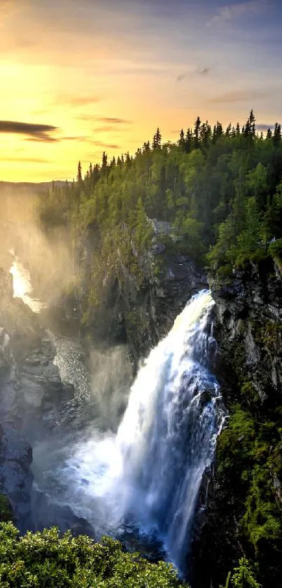 Waterfall at sunset with lush green forest.