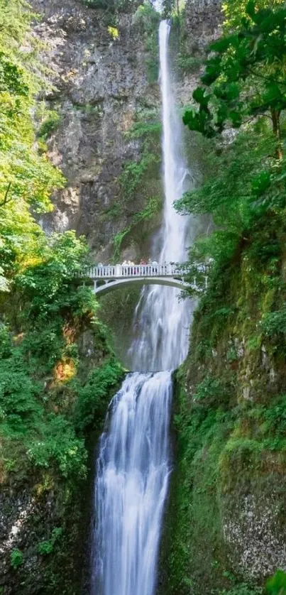 Waterfall cascading beneath a bridge surrounded by lush green foliage.