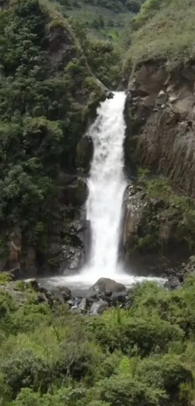 A waterfall cascades down a rocky cliff surrounded by lush green vegetation.