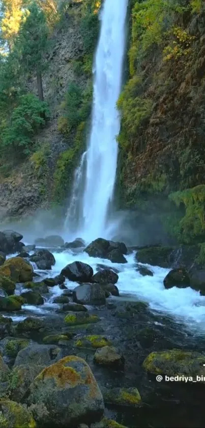 A cascading waterfall in a lush forest setting with rocks and greenery.