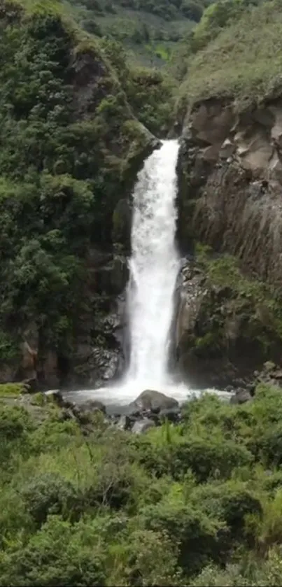 Waterfall in a lush green forest landscape mobile wallpaper.