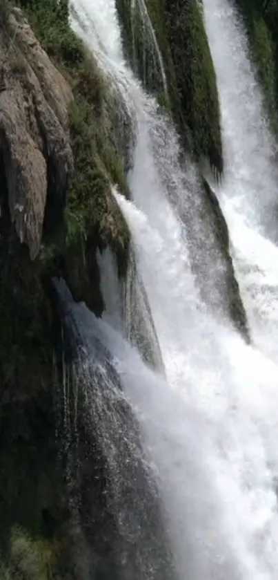 Majestic waterfall amidst lush greenery.